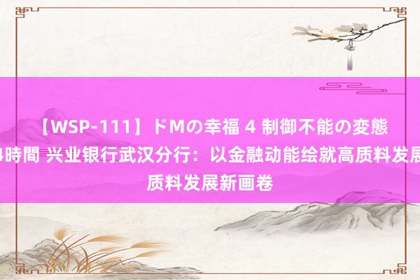 【WSP-111】ドMの幸福 4 制御不能の変態ボディ4時間 兴业银行武汉分行：以金融动能绘就高质料发展新画卷