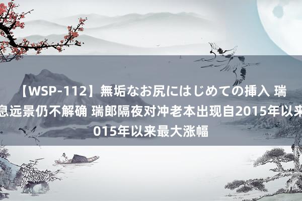 【WSP-112】無垢なお尻にはじめての挿入 瑞士央行降息远景仍不解确 瑞郎隔夜对冲老本出现自2015年以来最大涨幅