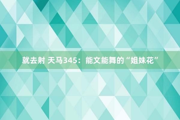 就去射 天马345：能文能舞的“姐妹花”