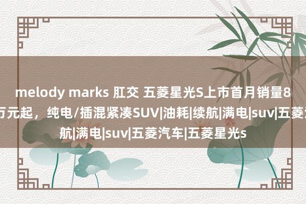 melody marks 肛交 五菱星光S上市首月销量8875辆：9.98万元起，纯电/插混紧凑SUV|油耗|续航|满电|suv|五菱汽车|五菱星光s