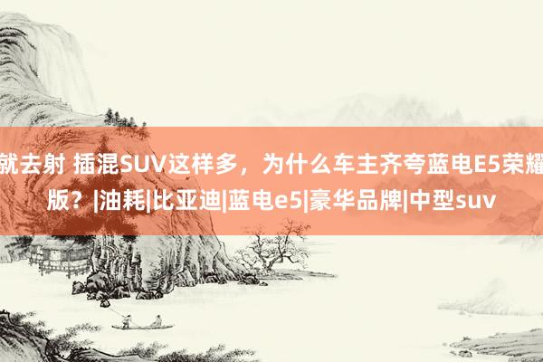 就去射 插混SUV这样多，为什么车主齐夸蓝电E5荣耀版？|油耗|比亚迪|蓝电e5|豪华品牌|中型suv